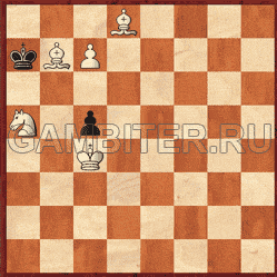 шахматы самоучитель