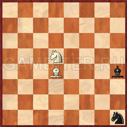 шахматы: роль центральных полей в дебюте